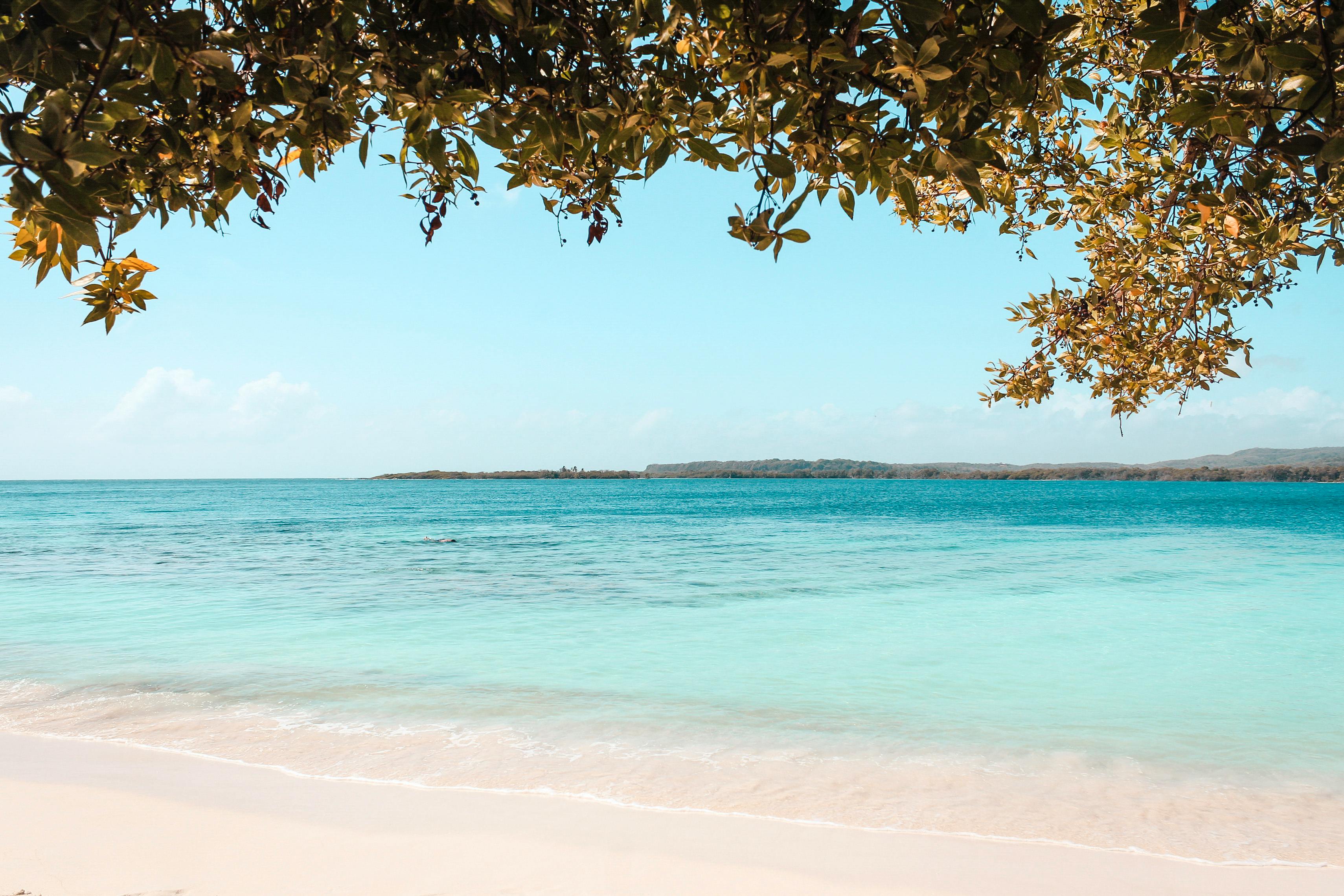 Lush natural landscape representing Guyana